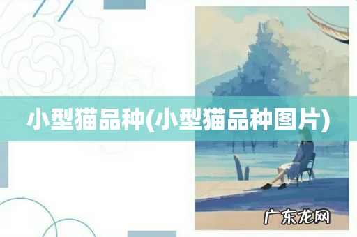 小型猫品种图片 小型猫品种