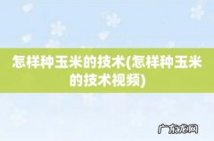 怎样种玉米的技术视频 怎样种玉米的技术