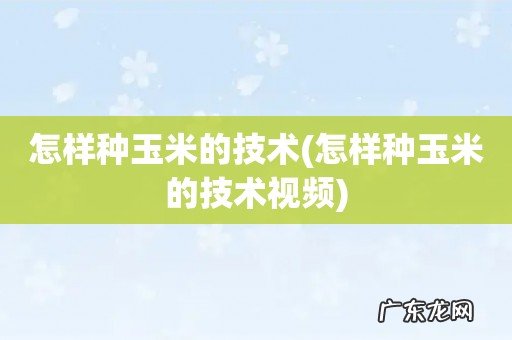 怎样种玉米的技术视频 怎样种玉米的技术