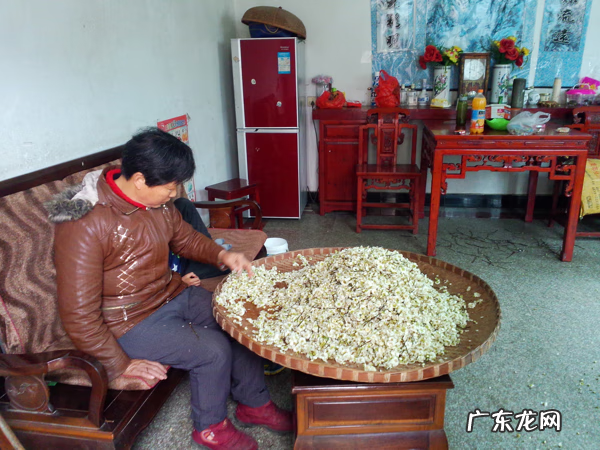 大师风水画大全图 许老板画风水作品