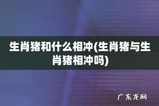 生肖猪与生肖猪相冲吗 生肖猪和什么相冲