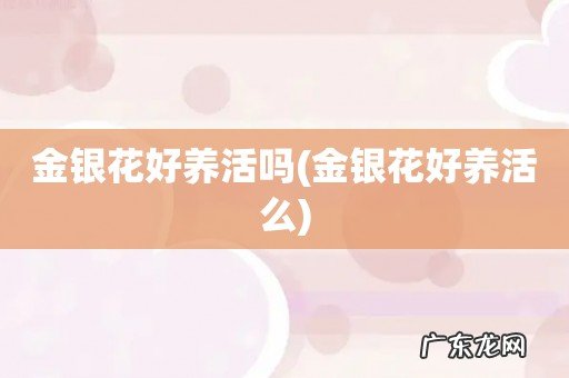 金银花好养活么 金银花好养活吗