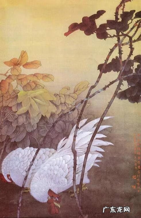 鸡风水作用 鸡的寓意和象征风水