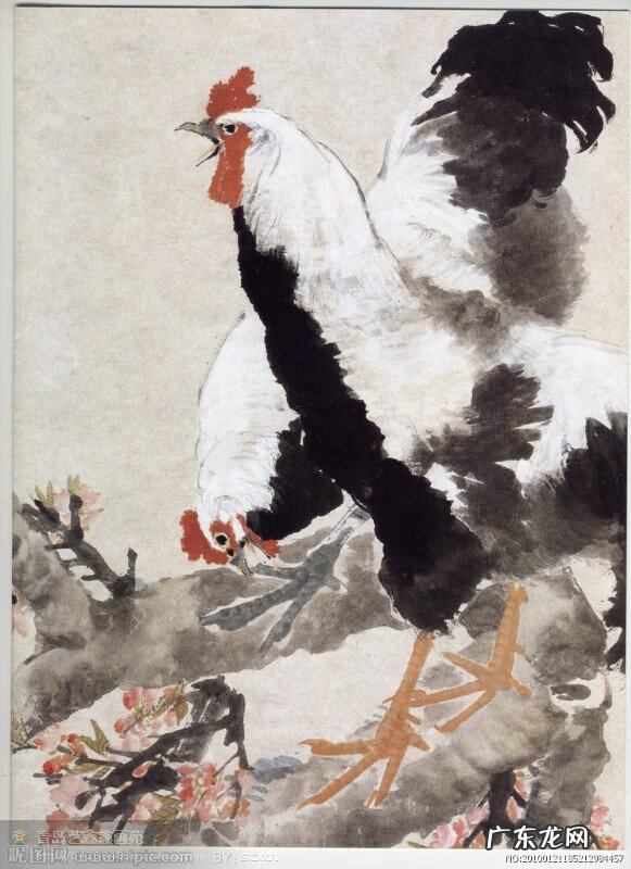 鸡风水作用 鸡的寓意和象征风水