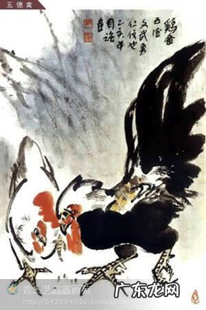 鸡风水作用 鸡的寓意和象征风水