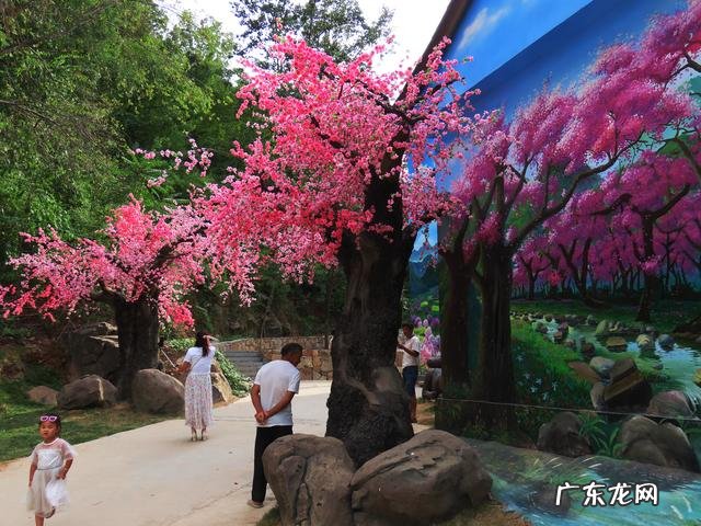 日月潭水位 天池山风水