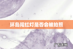 环岛闯红灯是否会被拍照