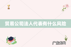 贸易公司法人代表有什么风险