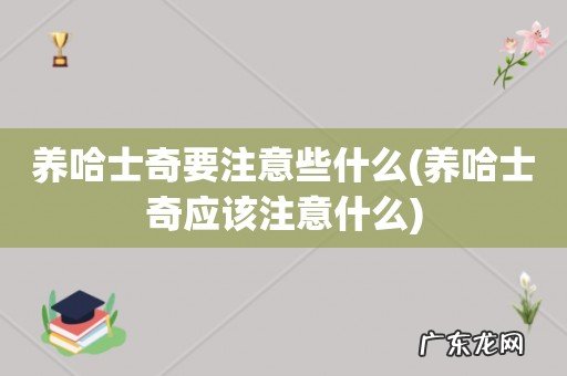 养哈士奇应该注意什么 养哈士奇要注意些什么