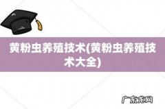 黄粉虫养殖技术大全 黄粉虫养殖技术