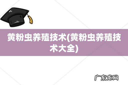 黄粉虫养殖技术大全 黄粉虫养殖技术