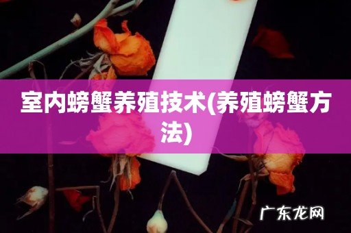 养殖螃蟹方法 室内螃蟹养殖技术