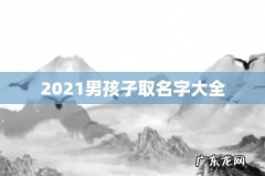2021男孩子取名字大全