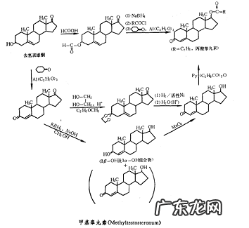 丙酸睾丸酮片 丙酸睾丸酮