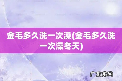 金毛多久洗一次澡冬天 金毛多久洗一次澡
