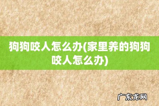 家里养的狗狗咬人怎么办 狗狗咬人怎么办