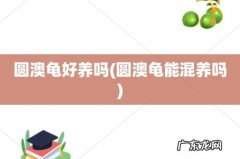 圆澳龟能混养吗 圆澳龟好养吗