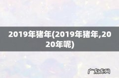 2019年猪年,2020年呢 2019年猪年