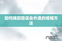 如何挽回因误会外遇的婚姻方法