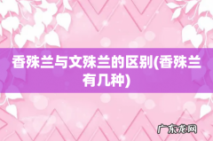 香殊兰有几种 香殊兰与文殊兰的区别