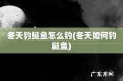 冬天如何钓鲢鱼 冬天钓鲢鱼怎么钓