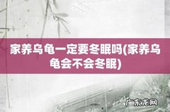 家养乌龟会不会冬眠 家养乌龟一定要冬眠吗