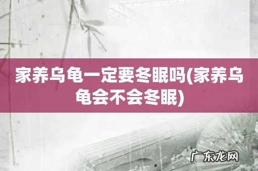 家养乌龟会不会冬眠 家养乌龟一定要冬眠吗