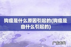 狗瘟是由什么引起的 狗瘟是什么原因引起的