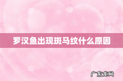 罗汉鱼出现斑马纹什么原因