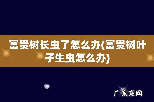 富贵树叶子生虫怎么办 富贵树长虫了怎么办