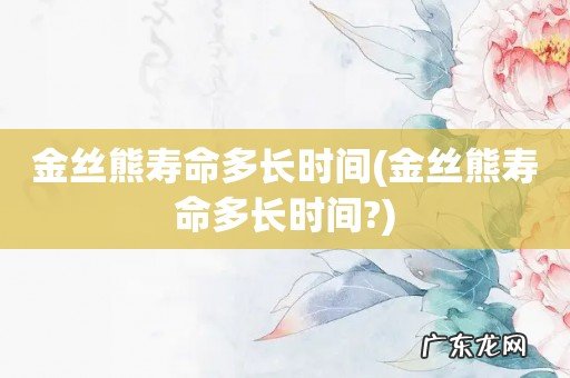 金丝熊寿命多长时间? 金丝熊寿命多长时间