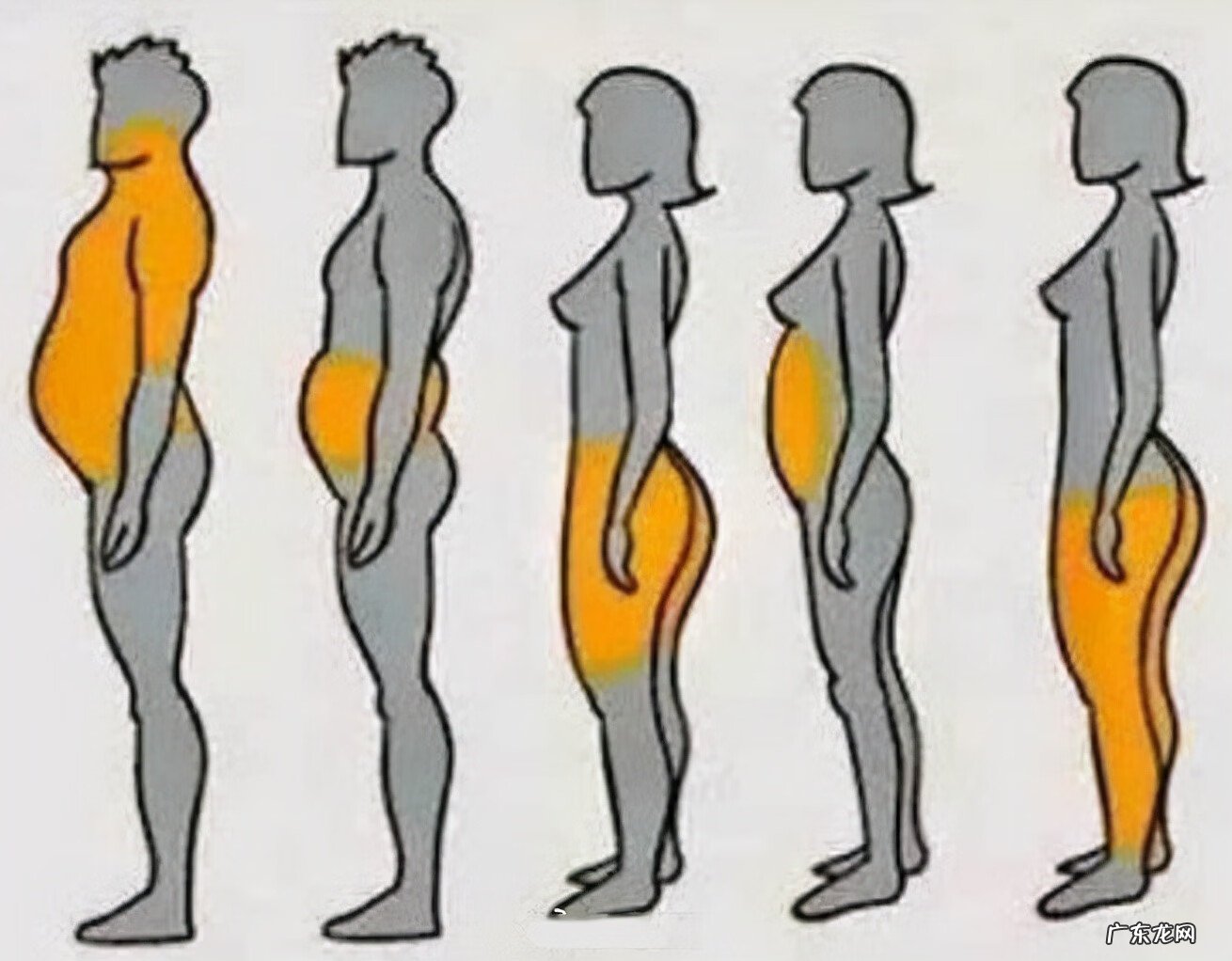 身上的皮肤松弛怎么办 皮肤松弛什么原因