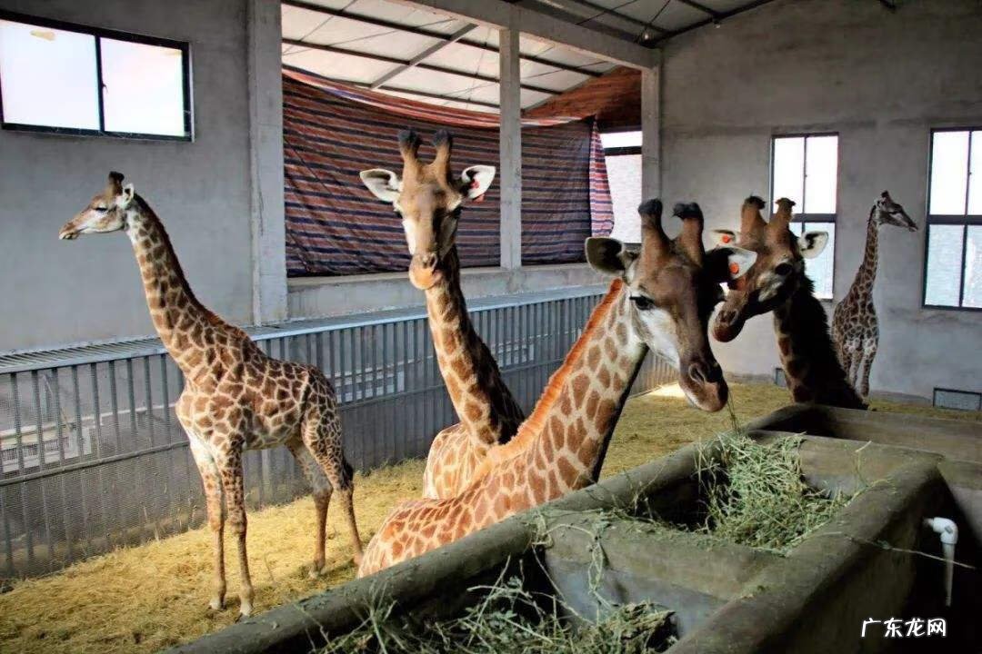 马鞍山风水讲解 风水中的马鞍山