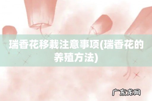 瑞香花的养殖方法 瑞香花移栽注意事项