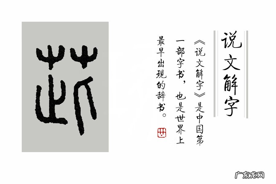 荸荠的禁忌和食用方法 荸荠的拼音怎么写