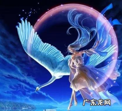 2022年旺桃花布置 2022年风水催桃花