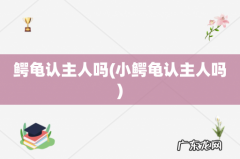 小鳄龟认主人吗 鳄龟认主人吗
