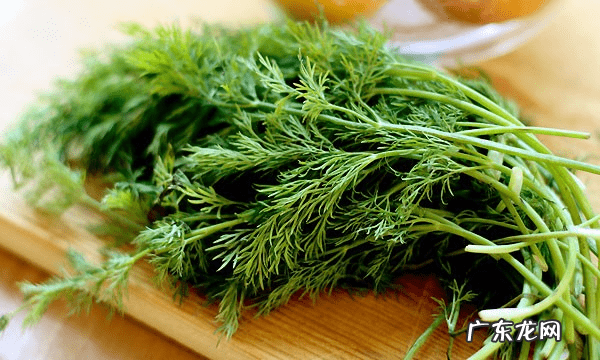 如何去狐臭小窍门 去狐臭的小窍门是什么