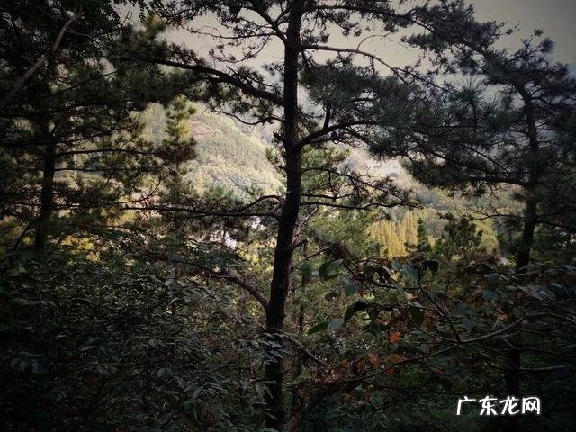 火土风水 土卫风水