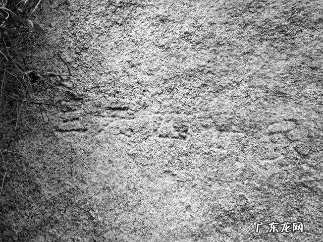 火土风水 土卫风水