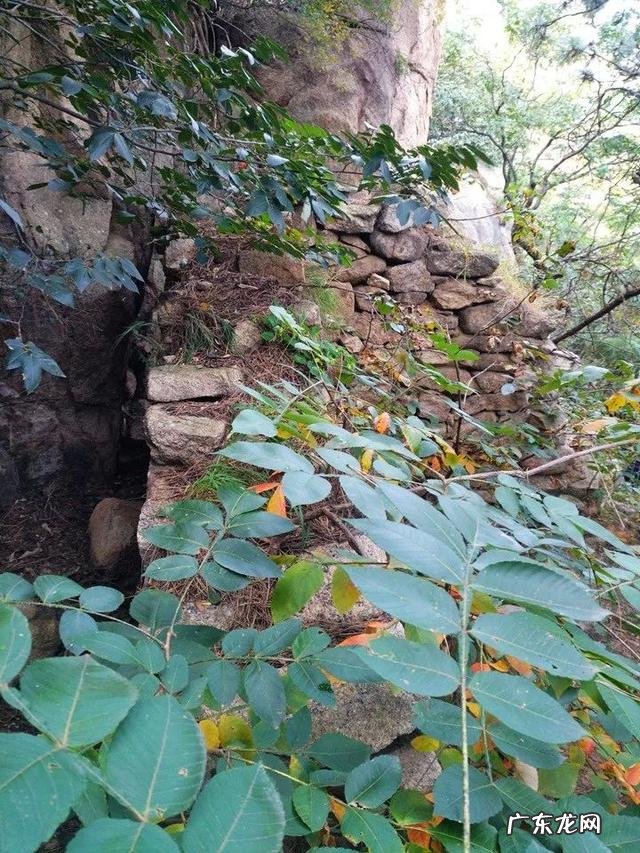 火土风水 土卫风水