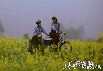 什么才叫青春 青春是什么意思