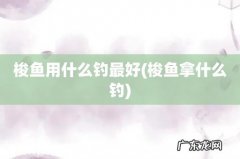梭鱼拿什么钓 梭鱼用什么钓最好