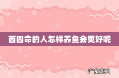 西四命的人怎样养鱼会更好呢