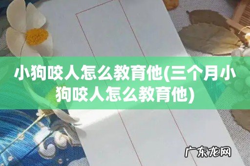 三个月小狗咬人怎么教育他 小狗咬人怎么教育他
