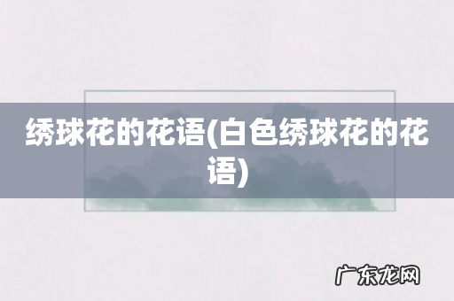 白色绣球花的花语 绣球花的花语