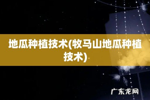 牧马山地瓜种植技术 地瓜种植技术