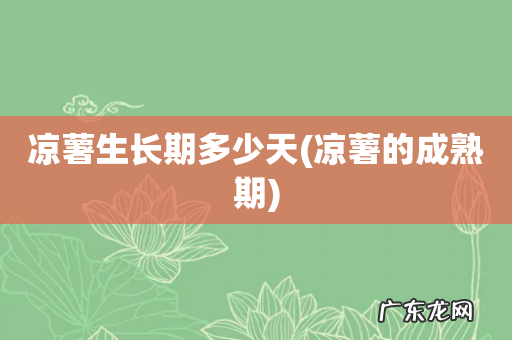 凉薯的成熟期 凉薯生长期多少天