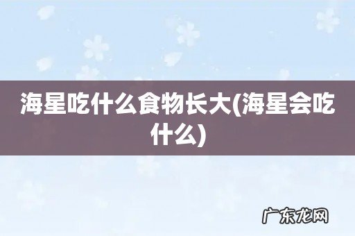 海星会吃什么 海星吃什么食物长大