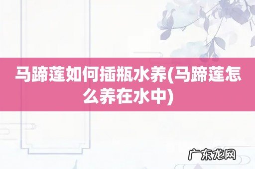 马蹄莲怎么养在水中 马蹄莲如何插瓶水养